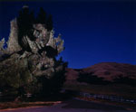identities, 1998